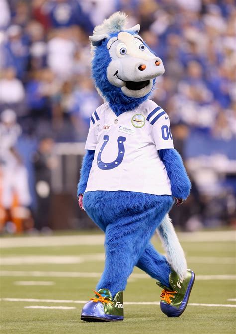 Colts mascot dressed in blue costume